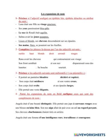 les expansions de nom: adjectifs et compléments de nom