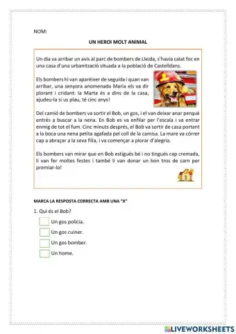 Comprensió Lectora (2n)