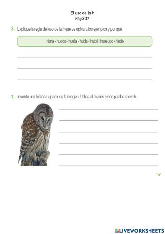 Español 4G-La h p207