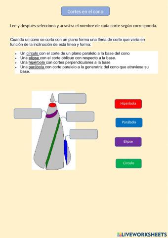 Cortes del cono