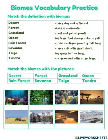 Biomes Vocabulary Practice