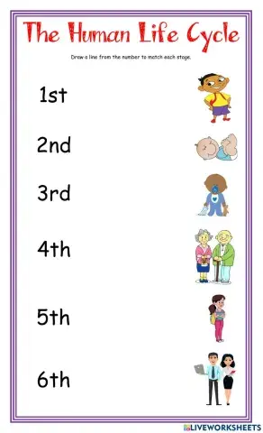 The Human Life Cycle DJ