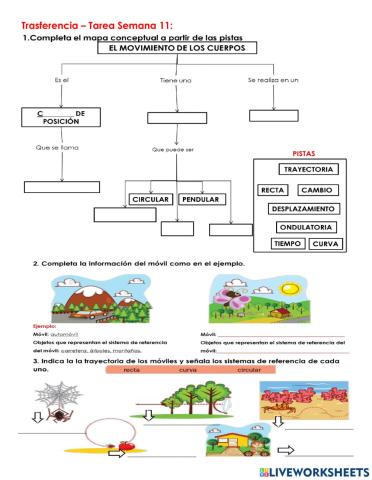 C.N-Transferencia Semana 11
