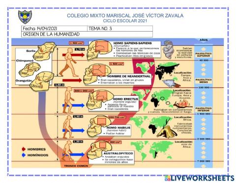Origen de la humanidad