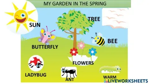 My garden in the spring!