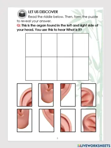 Sense organ for hearing puzzle