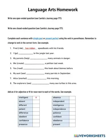 Camila's Journey Homework