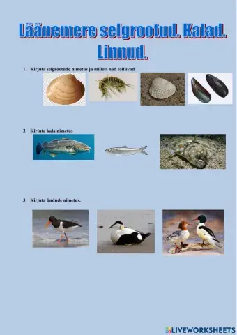 Läänemere loomastik