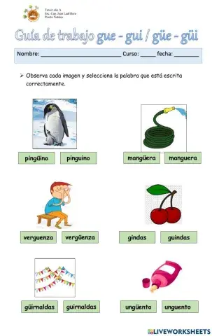 Uso de gue-gui - güe-güi