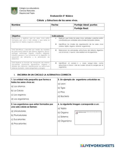 Evaluación 5 célula