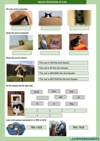 Cats-prepositions of place