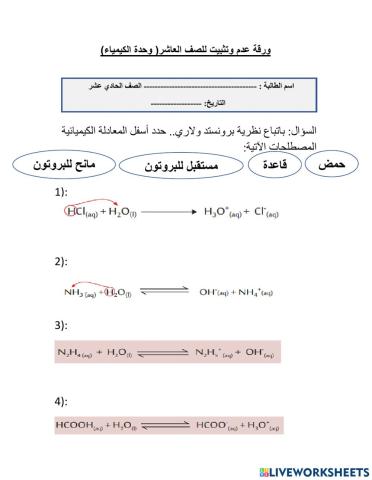 نشاط دعم وتثبيت2