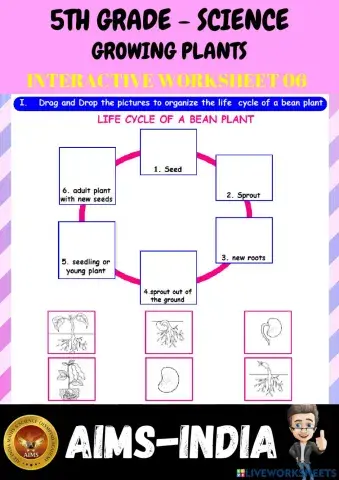 5th-science-ps06-growing plants