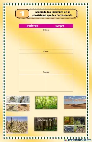 El bosque y desierto