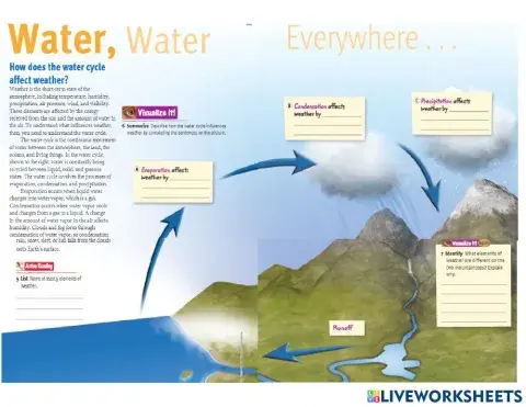 Weather and Water Cycle