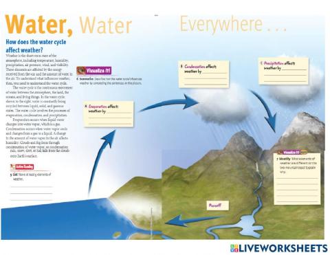Weather and Water Cycle