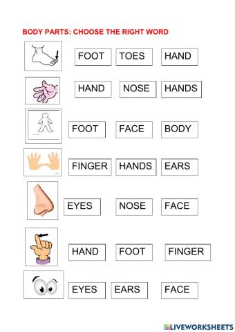 Body parts reading