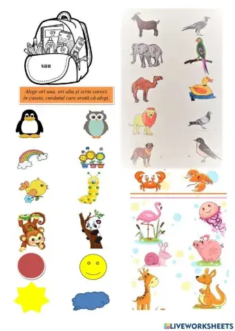 Sa scriem corect sau s-au