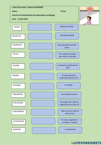 Níveis de organização em Biologia