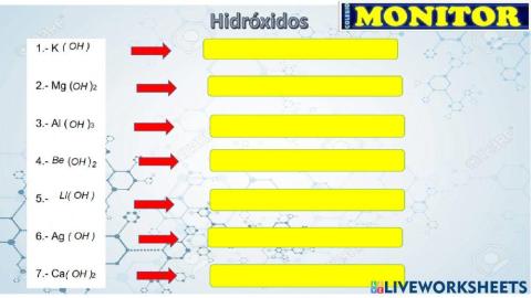 Mundo kids  miss lidia