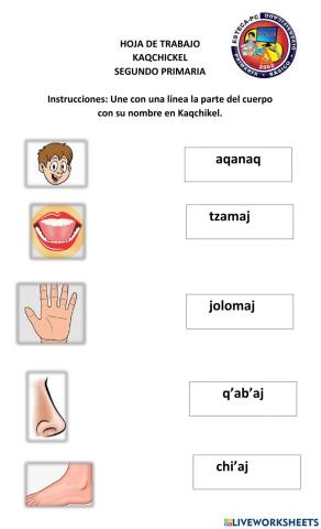 Partes del cuerpo en kaqchikel