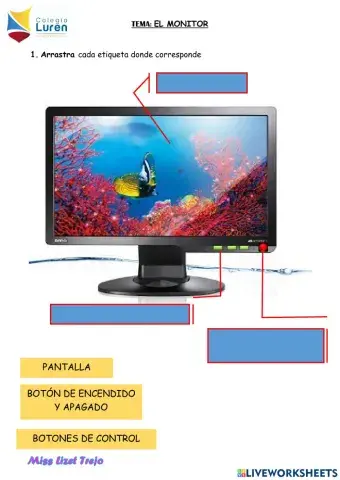 El monitor
