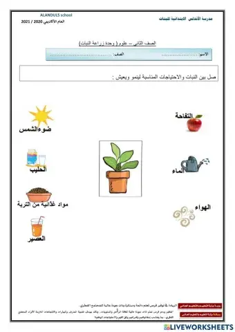 احتياجات النبات