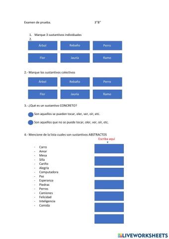Examen de Sustantivos