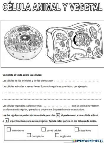 Ciencias de la naturaleza