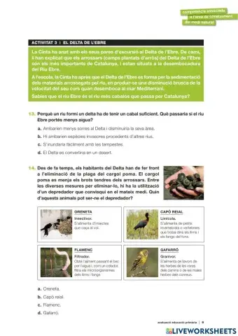 Competències Bàsiques medi 2019 act.3