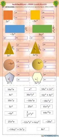 Áreas perimetros algebraicos