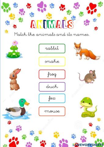 Animals