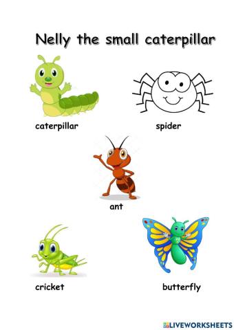 Nelly the small caterpillar