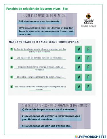 Función de relación