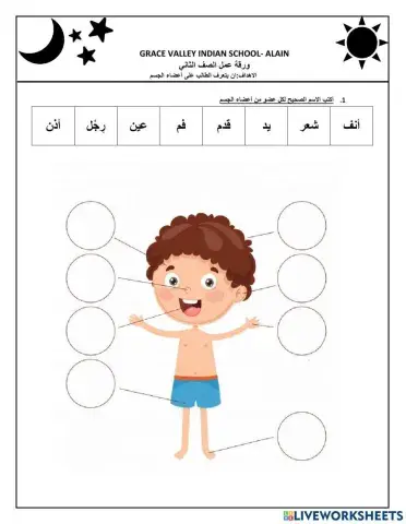 اعضاءالجسم