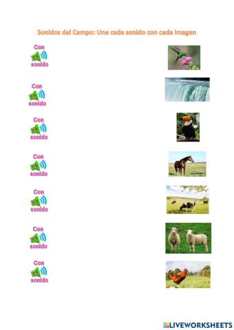 Sonidos de la Naturaleza