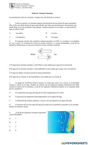 Ficha las mareas  y corrientes marinas