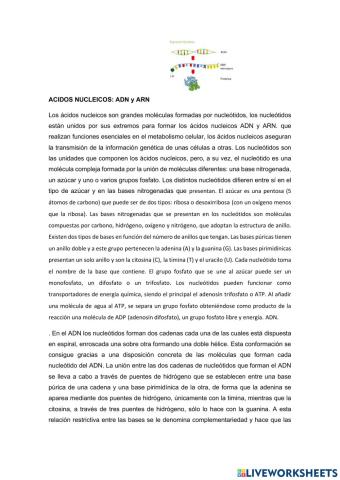 COMPRENSION LECTORA ADN Y ARN  LAS AUSENTES