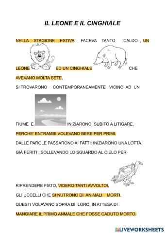 Il leone ed il cinghiale