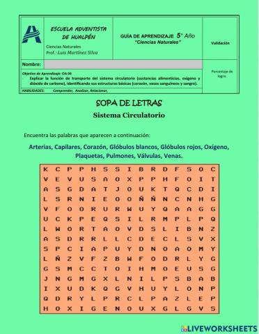 Sopa de letras