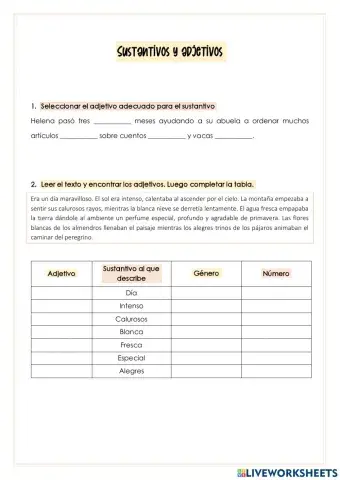 Sustantivos y adjetivos