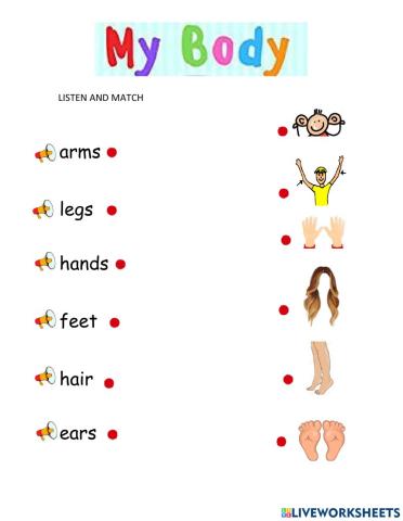 Body parts