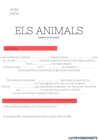 ELS ANIMALS