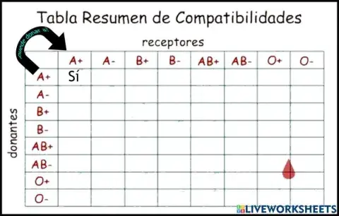 Grupos sanguíneos práctica III