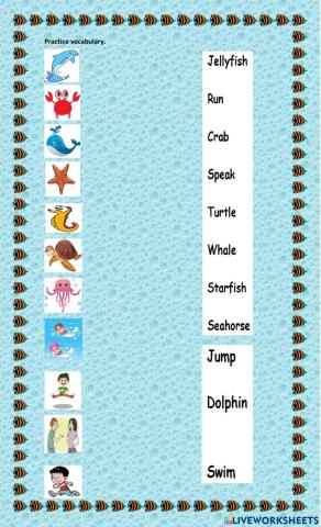 Vocabulary sea animals and actions