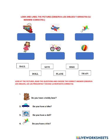 Toys and Do you have. . .?