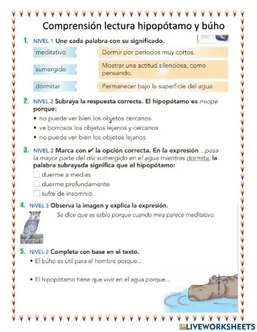 Lectura Hipopótamo y búho