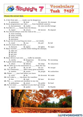 Spotlight 7 Task 7427