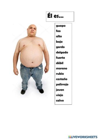 Descripcion fisica -multimarca