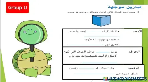الأشكال ثلاثية الأبعاد